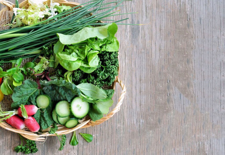 Bodysculpt A Plant Based Diet